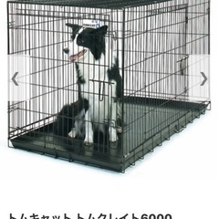 大型犬用ケージの中古が安い！激安で譲ります・無料であげます｜ジモティー