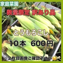 訳あり とうもろこし 10本 600円 数量限定