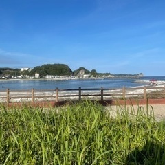 千葉県、茨城県周辺の海釣り仲間！°･🐠