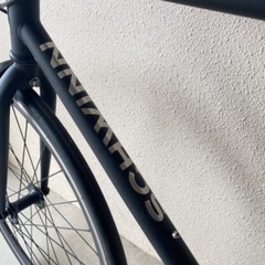 シングルスピード CUTTER SCWINN