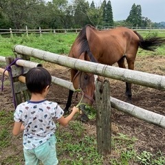 夏休み明け企画 馬にニンジンを