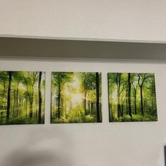 終了しました、ありがとうございました！キャンバスアート　緑の森と朝陽