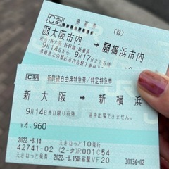 【ネット決済・配送可】新幹線チケット(新横浜⇄新大阪間の片道)