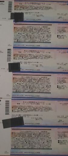 モエレ沼芸術花火2022 チケット