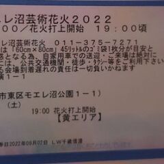 モエレ沼芸術花火2022  チケット