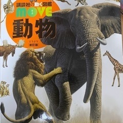 MOVE 動物　図鑑　DVD付き