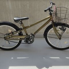 子供用自転車（男の子）22インチ