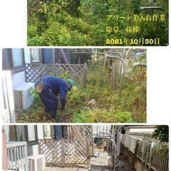 庭園管理、外構工事作業員募集中　手に職を　所沢市 - 正社員