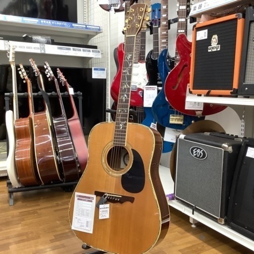 ALVAREZ アコースティックギター PD100 C907030371
