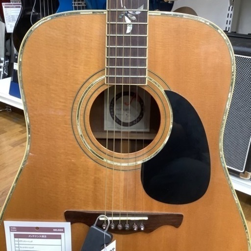 ALVAREZ アコースティックギター PD100 C907030371