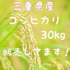 【新米】令和4年　コシヒカリ　玄米30kg 【三重県産】