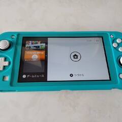 Nintendo Switch Lite　ターコイズ　ケース　カ...