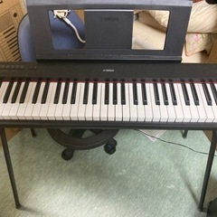 (取引中)YAMAHAヤマハ　PIAGGERO NP-12