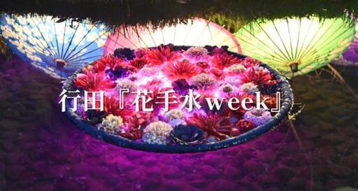 行田市 花手水ライトアップデー 九尾の狐 行田市の地域 お祭りのイベント参加者募集 無料掲載の掲示板 ジモティー