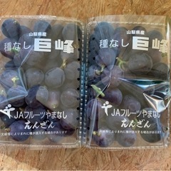 お値下げ！巨峰　粒　700グラム入り　3パック