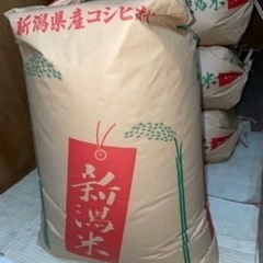 令和3年 新潟産コシヒカリ 30キロ お米 玄米