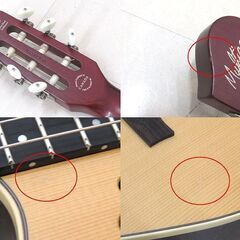 Godin ゴダンギター Multiac Nylon Duet Ambiance エレガット 2013年製 ハードケース付き 中古品 動作確認済み