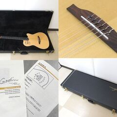 Godin ゴダンギター Multiac Nylon Duet Ambiance エレガット 2013年製 ハードケース付き 中古品 動作確認済み