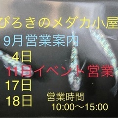 ９月のメダカ販売🐟イベントもあります！の画像