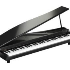 【ネット決済】【値下げしてます】KORG/micro piano...