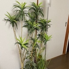 譲渡者決まりました。無料 観葉植物 造花 & ライトセット