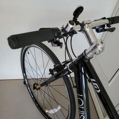 クロスバイク: ルイガノ