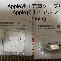 【ネット決済・配送可】Apple純正充電ケーブル　イヤホンセット