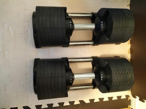 フレックスベル32キロ＆インクラインベンチセット | stainu