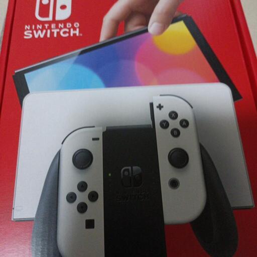 スイッチ ダウンロード版付き