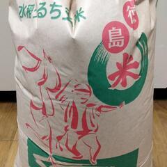 アキサカリ新米(玄米)8/30収穫!!