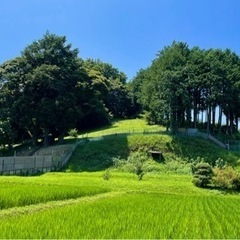 田んぼのライトアップのための照明