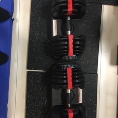 可変式ダンベル ２４kg ×２個セット