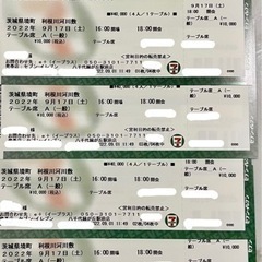 第35回利根川大花火大会 チケット テーブル席 4枚