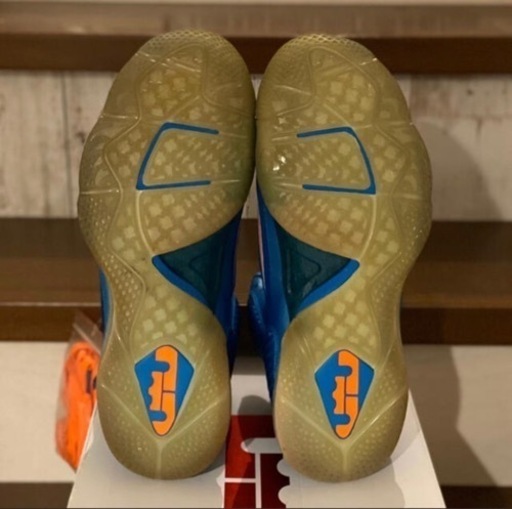 NIKE レブロン9 - 売ります・あげます