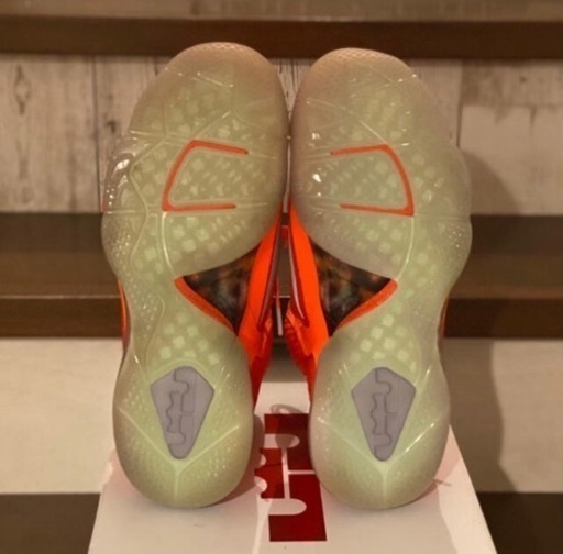 NIKE レブロン9 AS 5