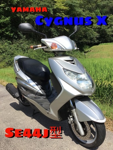 ヤマハ　シグナスX  YAMAHA CYGNUS  好調車！