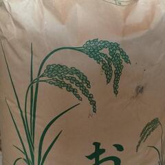 玄米 約10kg