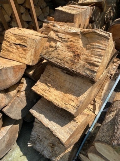 カシの木乾燥中600kg