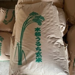 ✅残り　2袋✅🌾新米🌾　　令和4年産　コシヒカリ