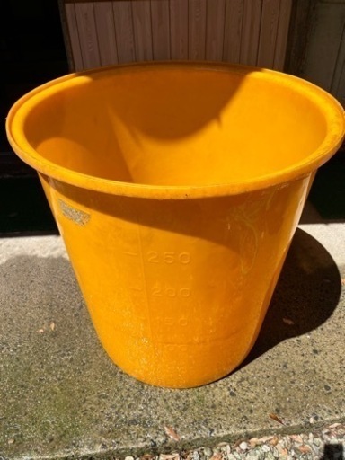 ☆島田文男 Simada Fumio 木版画「KOKESHI」額入り