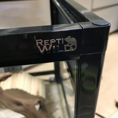 パンテオン4535 爬虫類お世話セット一式　😊このままお迎えOKです😊