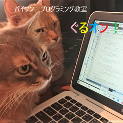 【長野県小諸市】プログラミング体験を人気のパイソンで！