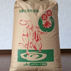 令和4年度産　新米アキサカリ（玄米）