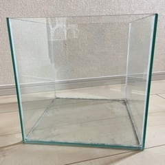 ガラス製 水槽