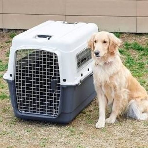 大型犬用のクレート バリケンネルを探しています わか 淵野辺の買いたい くださいの助け合い ジモティー