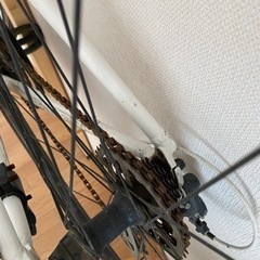 ビアンキ　Bianchi カメレオンテ1 クロスバイク