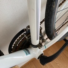 ビアンキ　Bianchi カメレオンテ1 クロスバイク