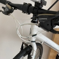 ビアンキ　Bianchi カメレオンテ1 クロスバイク