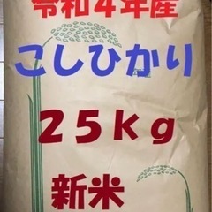 新米コシヒカリ福井県産令和4年産山間部米25kg残8個