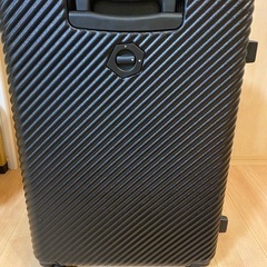 高陽社冷え取り君〈ほぼ使用感無し〉-木梨サイクル キャリーケース